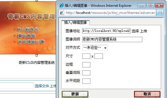 网页内容优化&mdash;&mdash;奇新一网通智能建站系统SEO优化介绍